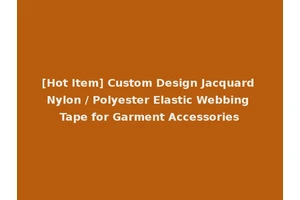 [Hot Item] Custom Design Jacquard Nylon / Polyester Elastic Webbing Tape for Garment Accessories