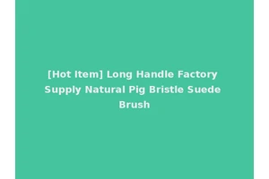 [Hot Item] Long Handle Factory Supply Natural Pig Bristle Suede Brush