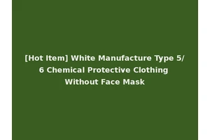 [Hot Item] White Manufacture Type 5/6 Chemical Protective Clothing Without Face Mask
