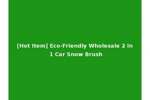 [Hot Item] Eco-Friendly Wholesale 2 in 1 Car Snow Brush
