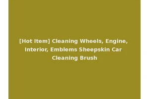 [Hot Item] Cleaning Wheels, Engine, Interior, Emblems Sheepskin Car Cleaning Brush
