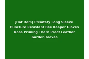 [Hot Item] Prisafety Long Sleeve Puncture Resistant Bee Keeper Gloves Rose Pruning Thorn Proof Leather Garden Gloves