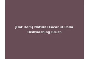 [Hot Item] Natural Coconut Palm Dishwashing Brush