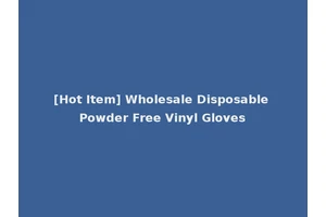 [Hot Item] Wholesale Disposable Powder Free Vinyl Gloves