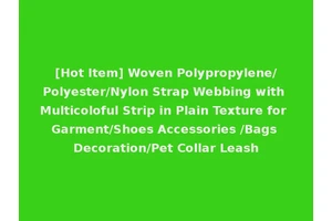 [Hot Item] Woven Polypropylene/Polyester/Nylon Strap Webbing with Multicoloful Strip in Plain Texture for Garment/Shoes Accessories /Bags Decoration/Pet Collar Leash