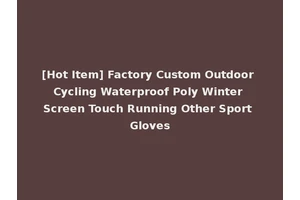 [Hot Item] Factory Custom Outdoor Cycling Waterproof Poly Winter Screen Touch Running Other Sport Gloves