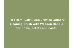 [Hot Item] Soft Nylon Bristles Laundry Cleaning Brush with Wooden Handle for Down Jackets and Coats