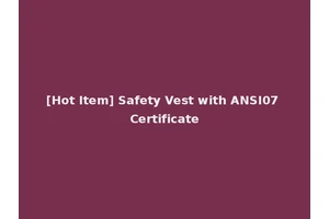 [Hot Item] Safety Vest with ANSI07 Certificate