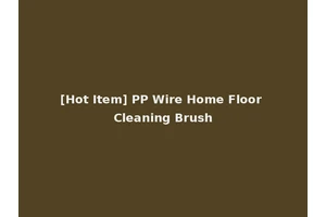 [Hot Item] PP Wire Home Floor Cleaning Brush