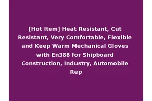 [Hot Item] Heat Resistant, Cut Resistant, Very Comfortable, Flexible and Keep Warm Mechanical Gloves with En388 for Shipboard Construction, Industry, Automobile Rep