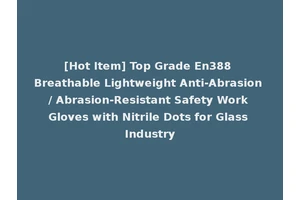 [Hot Item] Top Grade En388 Breathable Lightweight Anti-Abrasion / Abrasion-Resistant Safety Work Gloves with Nitrile Dots for Glass Industry