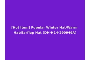 [Hot Item] Popular Winter Hat/Warm Hat/Earflap Hat (DH-H14-290946A)