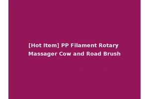 [Hot Item] PP Filament Rotary Massager Cow and Road Brush