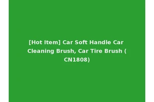 [Hot Item] Car Soft Handle Car Cleaning Brush, Car Tire Brush (CN1808)