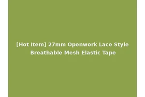 [Hot Item] 27mm Openwork Lace Style Breathable Mesh Elastic Tape