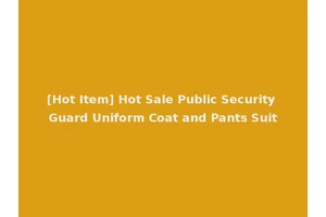 [Hot Item] Hot Sale Public Security Guard Uniform Coat and Pants Suit