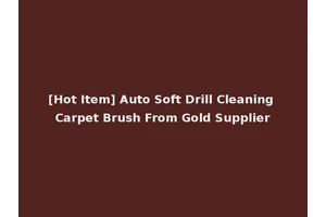 [Hot Item] Auto Soft Drill Cleaning Carpet Brush From Gold Supplier