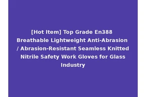 [Hot Item] Top Grade En388 Breathable Lightweight Anti-Abrasion / Abrasion-Resistant Seamless Knitted Nitrile Safety Work Gloves for Glass Industry