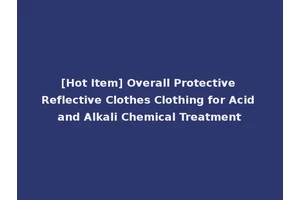 [Hot Item] Overall Protective Reflective Clothes Clothing for Acid and Alkali Chemical Treatment
