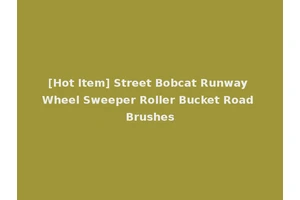 [Hot Item] Street Bobcat Runway Wheel Sweeper Roller Bucket Road Brushes