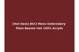 [Hot Item] BSCI Mens Embroidery Plain Beanie Hat 100% Acrylic