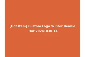 [Hot Item] Custom Logo Winter Beanie Hat 20241030-14