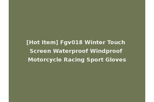 [Hot Item] Fgv018 Winter Touch Screen Waterproof Windproof Motorcycle Racing Sport Gloves