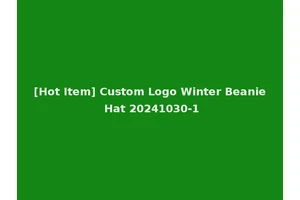 [Hot Item] Custom Logo Winter Beanie Hat 20241030-1
