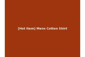[Hot Item] Mens Cotton Shirt