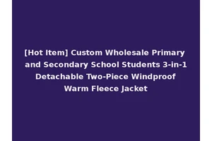[Hot Item] Custom Wholesale Primary and Secondary School Students 3-in-1 Detachable Two-Piece Windproof Warm Fleece Jacket