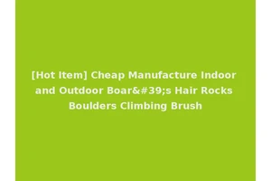 [Hot Item] Cheap Manufacture Indoor and Outdoor Boar's Hair Rocks Boulders Climbing Brush