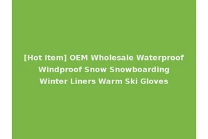 [Hot Item] OEM Wholesale Waterproof Windproof Snow Snowboarding Winter Liners Warm Ski Gloves