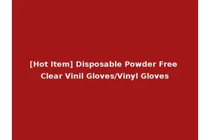[Hot Item] Disposable Powder Free Clear Vinil Gloves/Vinyl Gloves