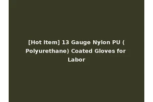 [Hot Item] 13 Gauge Nylon PU (Polyurethane) Coated Gloves for Labor