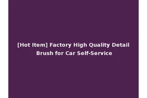 [Hot Item] Factory High Quality Detail Brush for Car Self-Service