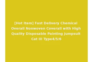 [Hot Item] Fast Delivery Chemical Overall Nonwoven Coverall with High Quality Disposable Painting Jumpsuit Cat III Type4/5/6