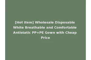 [Hot Item] Wholesale Disposable White Breathable and Comfortable Antistatic PP+PE Gown with Cheap Price