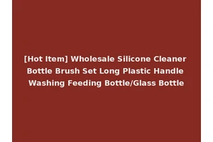 [Hot Item] Wholesale Silicone Cleaner Bottle Brush Set Long Plastic Handle Washing Feeding Bottle/Glass Bottle