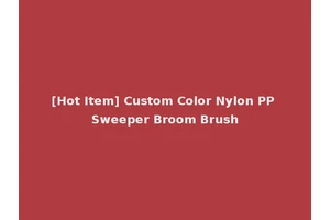 [Hot Item] Custom Color Nylon PP Sweeper Broom Brush