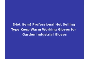 [Hot Item] Professional Hot Selling Type Keep Warm Working Gloves for Garden Industrial Gloves