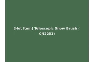 [Hot Item] Telescopic Snow Brush (CN2251)