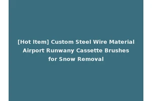 [Hot Item] Custom Steel Wire Material Airport Runwany Cassette Brushes for Snow Removal