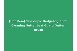 [Hot Item] Telescopic Hedgehog Roof Cleaning Gutter Leaf Guard Gutter Brush