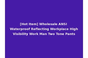 [Hot Item] Wholesale ANSI Waterproof Reflecting Workplace High Visibility Work Man Two Tone Pants