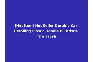 [Hot Item] Hot Seller Durable Car Detailing Plastic Handle PP Bristle Tire Brush