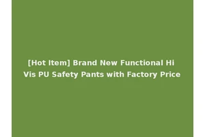 [Hot Item] Brand New Functional Hi Vis PU Safety Pants with Factory Price