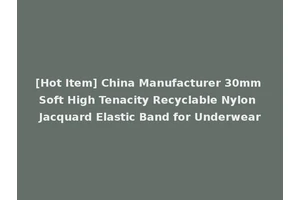 [Hot Item] China Manufacturer 30mm Soft High Tenacity Recyclable Nylon Jacquard Elastic Band for Underwear