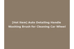 [Hot Item] Auto Detailing Handle Washing Brush for Cleaning Car Wheel