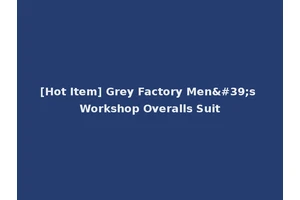 [Hot Item] Grey Factory Men's Workshop Overalls Suit