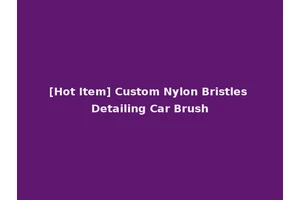 [Hot Item] Custom Nylon Bristles Detailing Car Brush